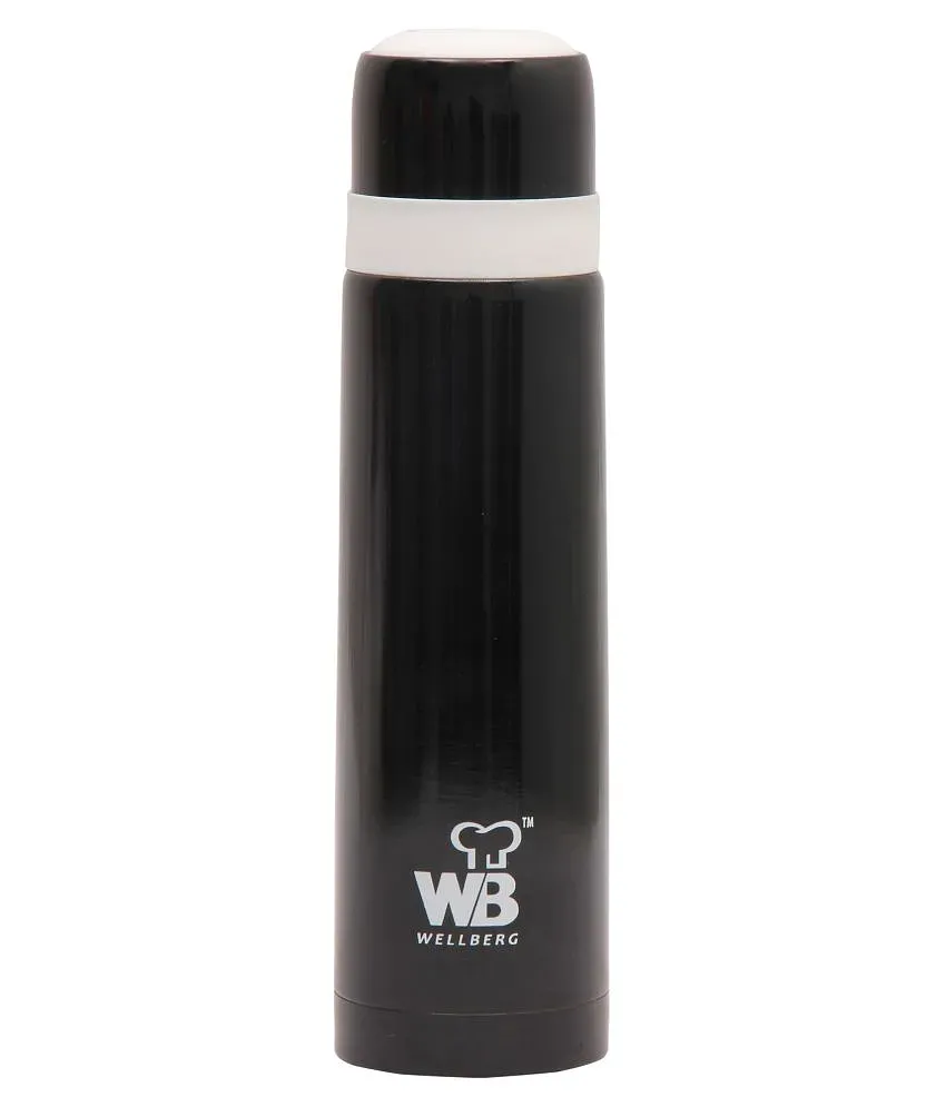 Wellberg sales steel flask