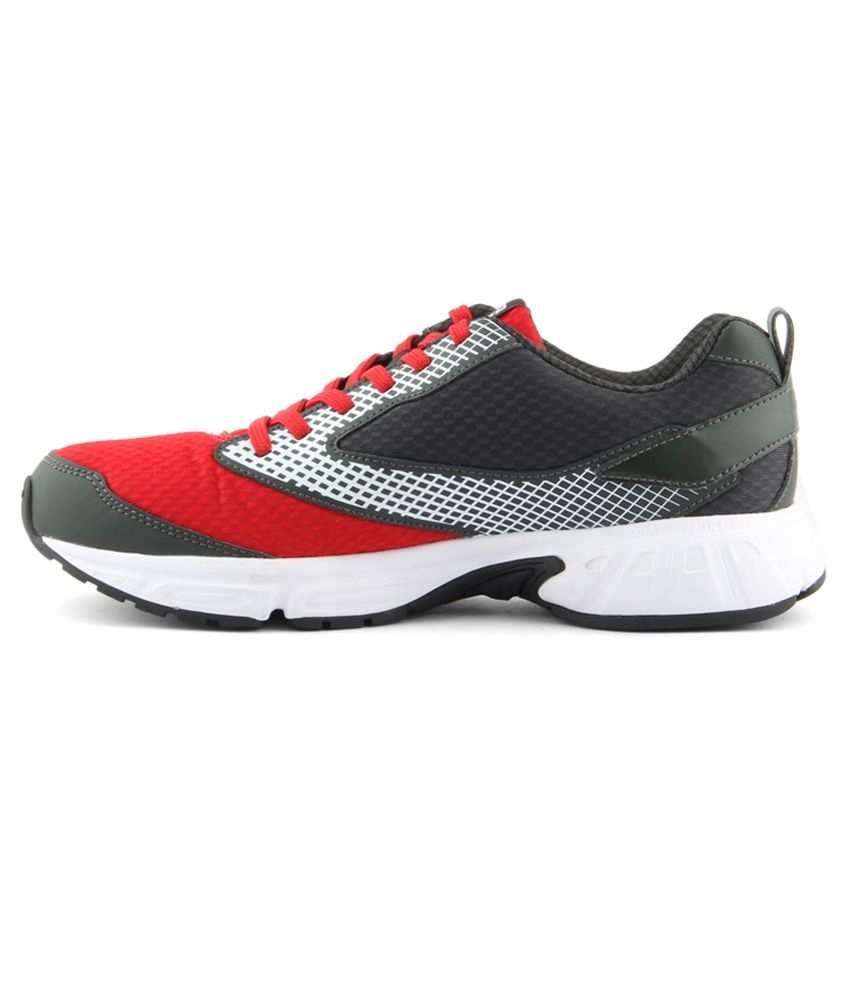 reebok multicolor shoes