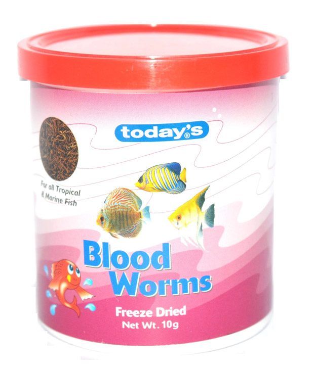 bloodworms-the-best-aquarium-snack-aquariadise