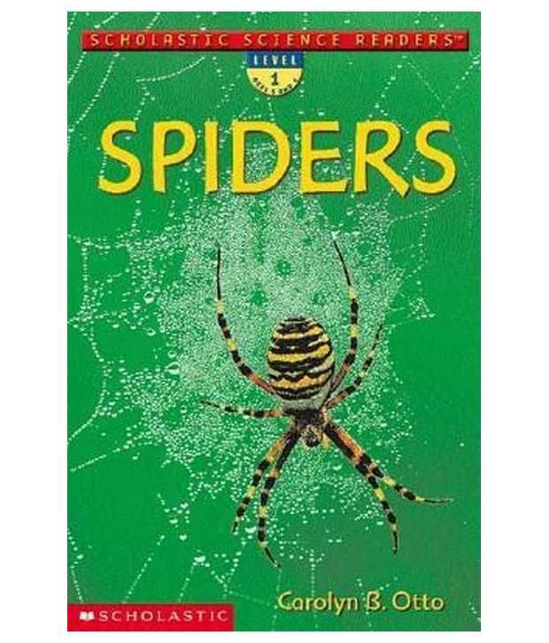 Spiders Buy Spiders Online at Low Price in India on Snapdeal