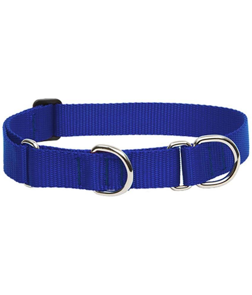 dog belt low price