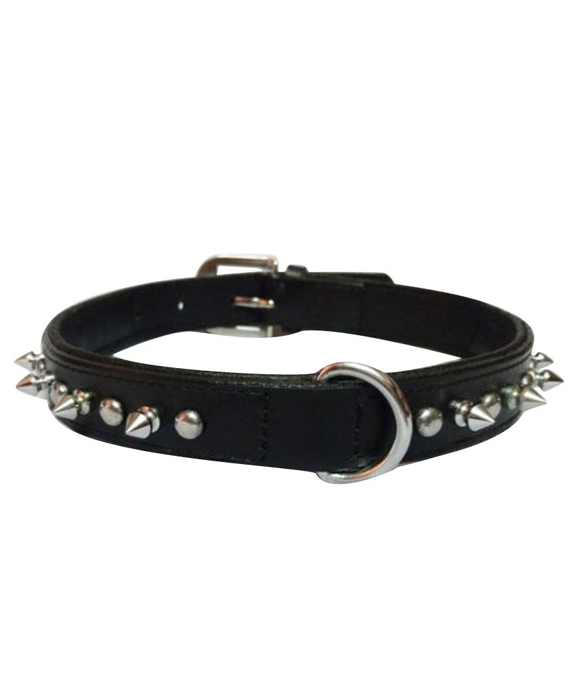 leather spike collar