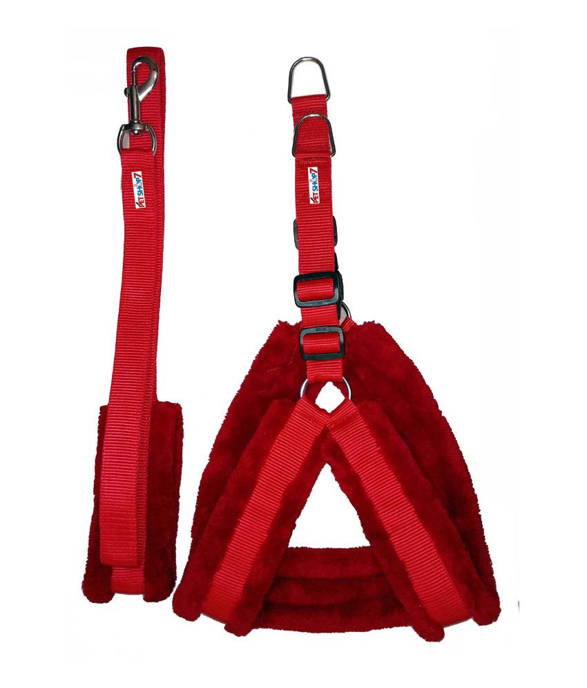     			Petshop7 - Red Dog Combo (Small)