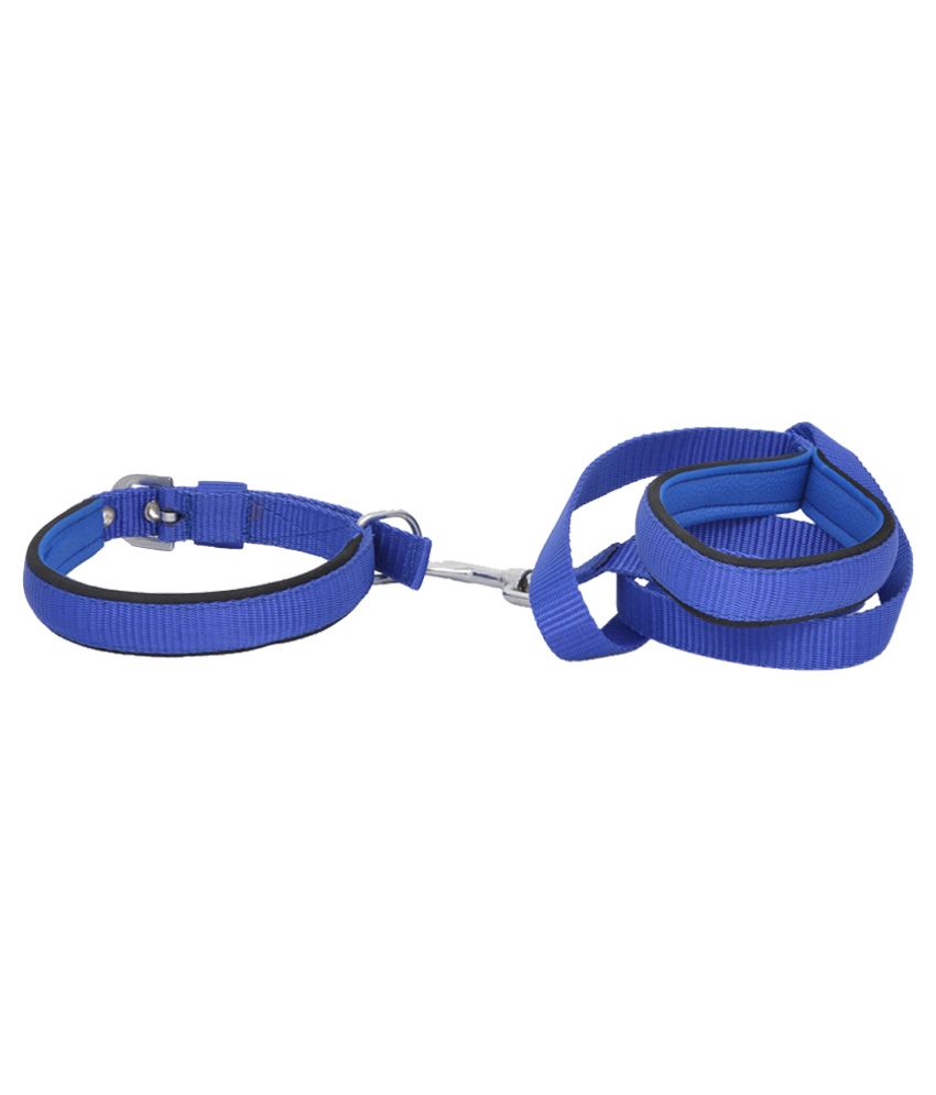 Wonder Wish Purple Dog Collar And Leash Set Buy Wonder Wish Purple Dog