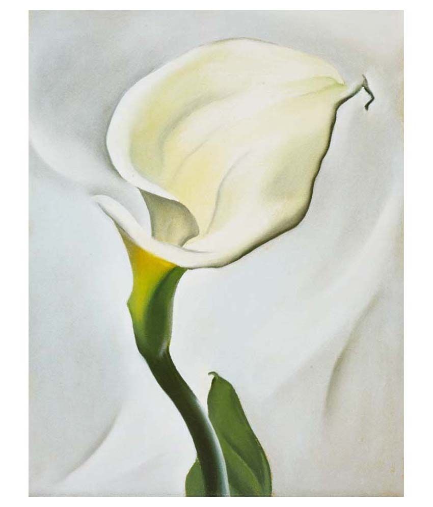 Tallenge Calla Lily Turned Away By Georgia O'Keeffe ...