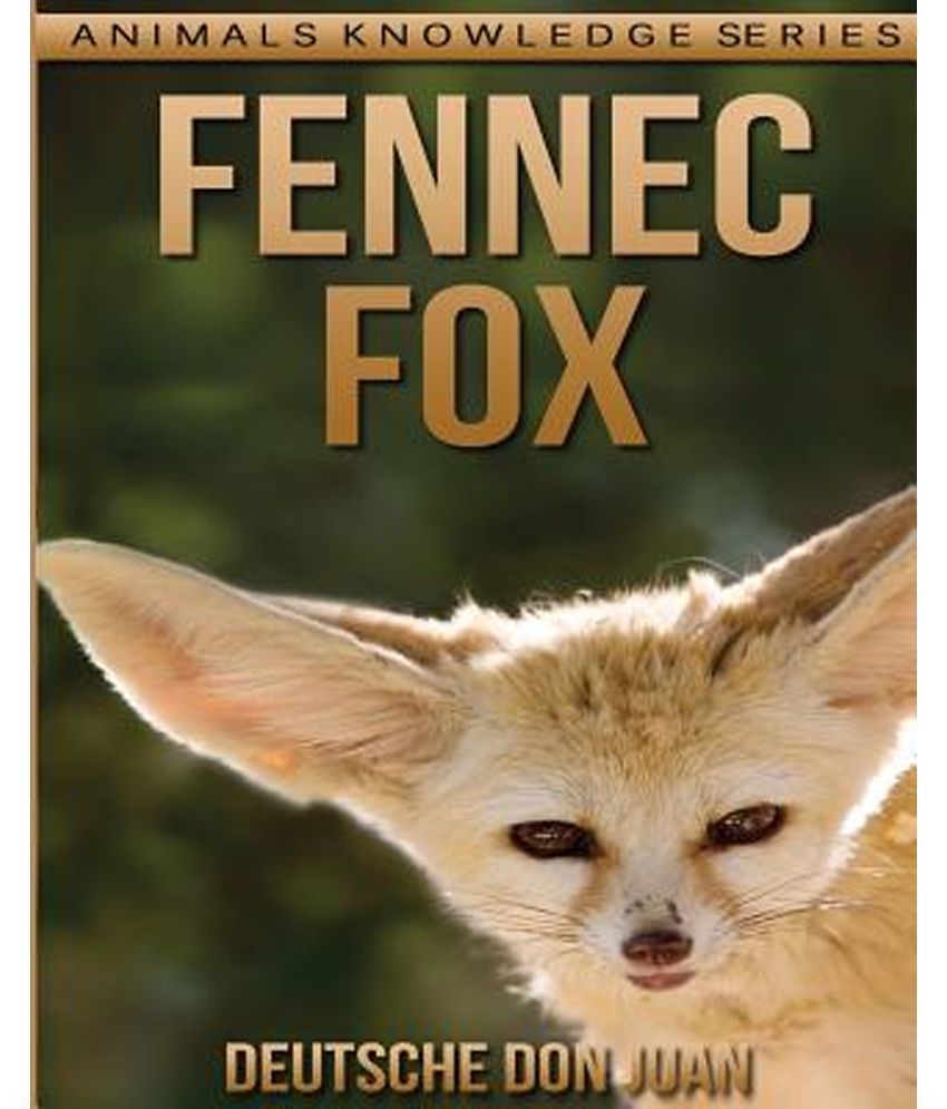 Fennec Fox: Buy Fennec Fox Online at Low Price in India on Snapdeal