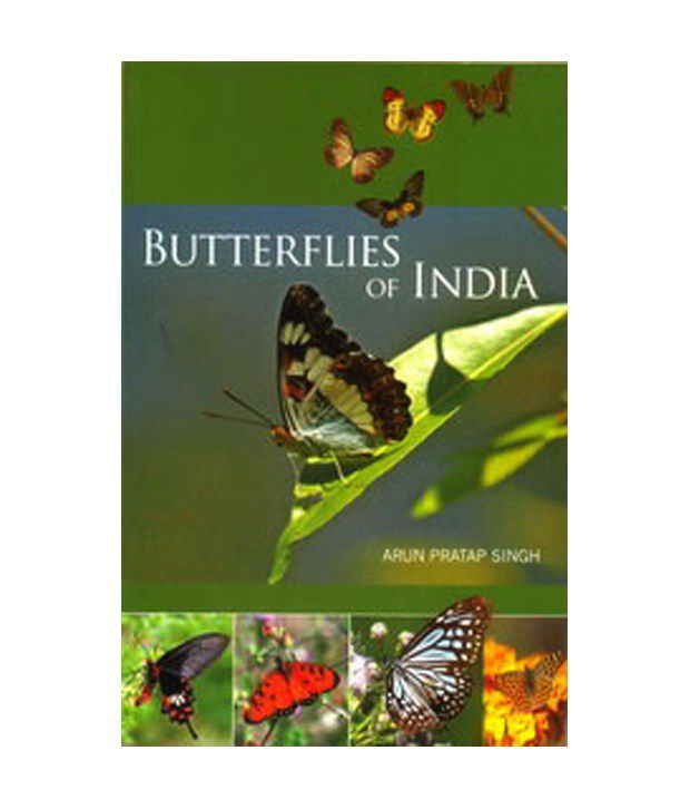     			Butterflies Of India