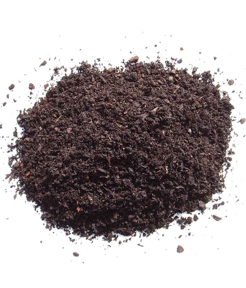 A Bonsai Soil For Bonsai Plants - 500gm: Buy A Bonsai Soil For Bonsai Plants - 500gm Online at