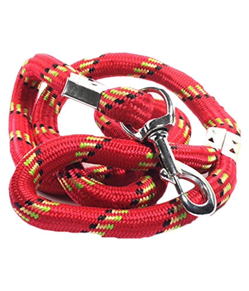 dog leash online