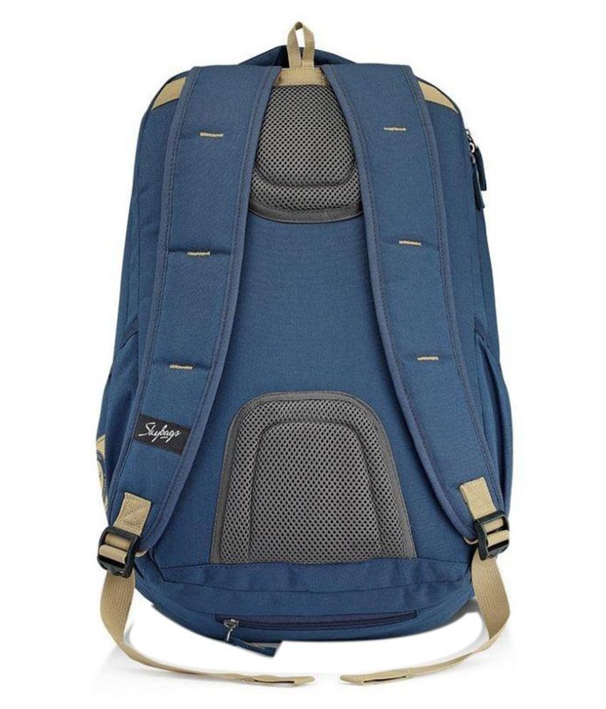 Skybags Raider 02 Blue 26 Polyester Vintage Backpack Buy Skybags