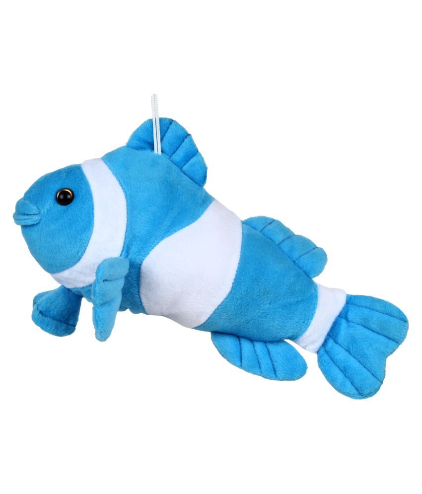 fish teddy