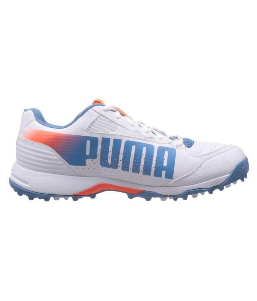 puma men's illuminate dp cricket shoes