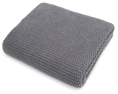 flash the dolphin beanie baby