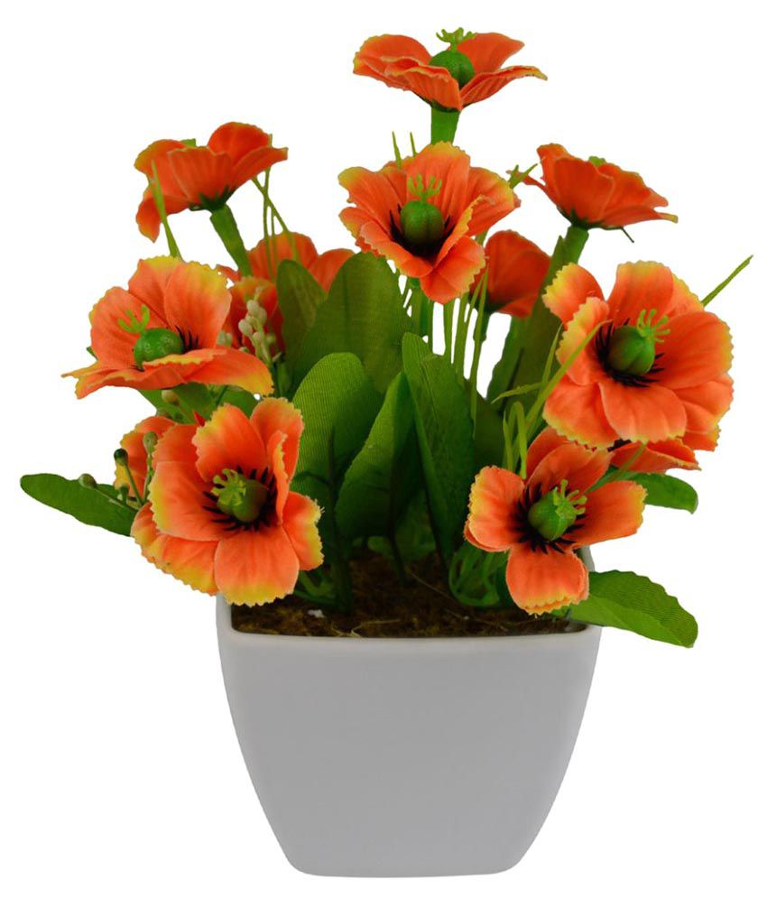 The Fancy Mart Wild Flower Flowers With Pot Orange: Buy The Fancy Mart ...