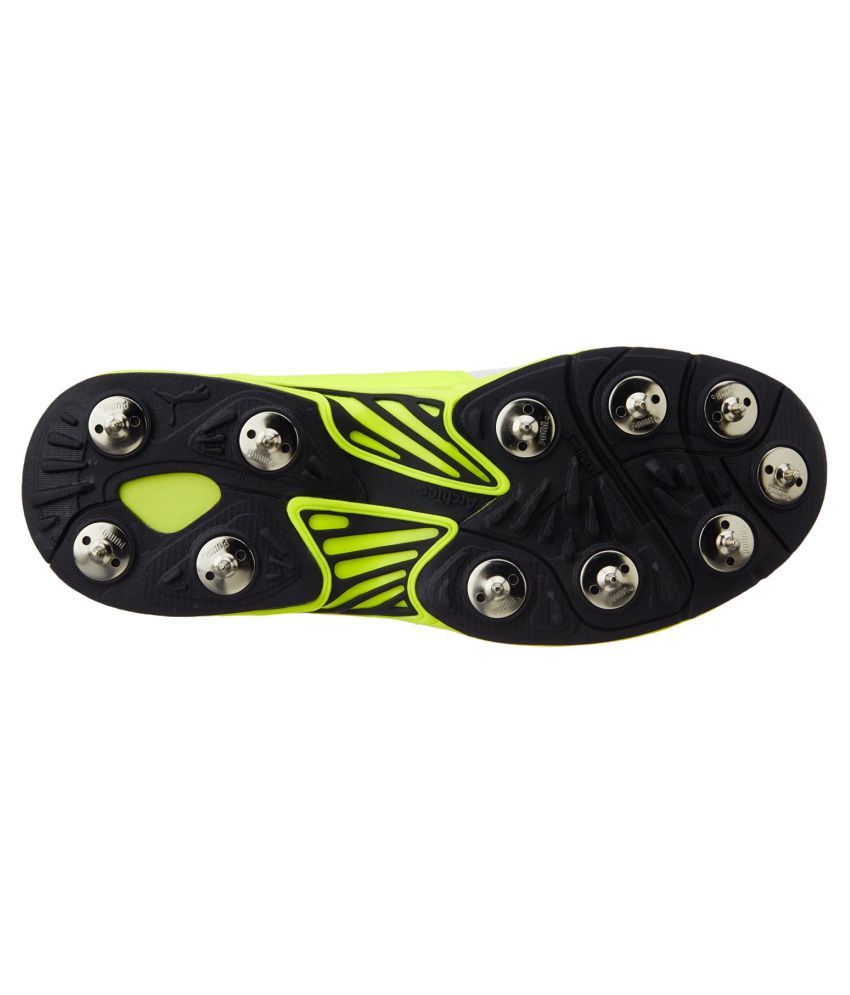 puma evospeed 18.1 cricket shoes