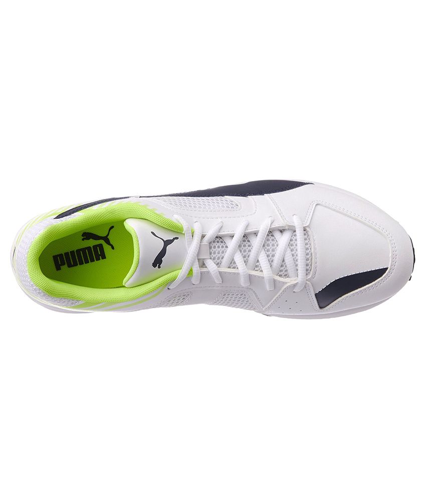 puma cricket shoes