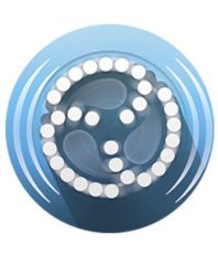 Braun Silk-épil 79e Refill Brush ?  SkinSpa exfoliation brush
