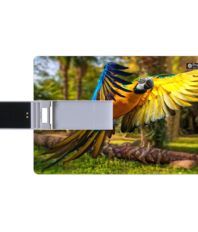 Printland 8GB USB 2.0 Fancy Pendrive Multicolour