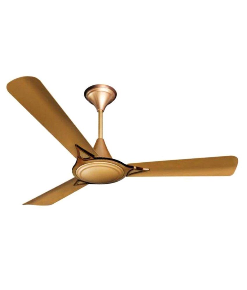 Crompton 1200 Avancer Prime Anti-Dust CeilingFan Cocoa ...