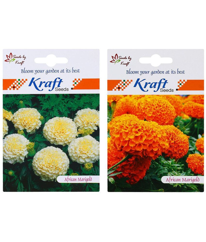 Kraft seeds Flower Seeds Buy Kraft seeds Flower Seeds Online at Low