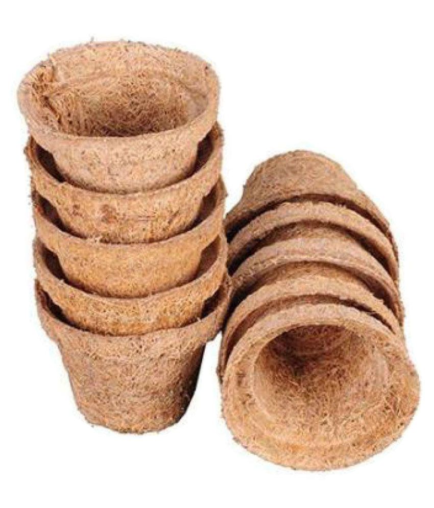 Minerva Naturals Seedling Cup Set Of 10 Both Flower Pot Buy Minerva