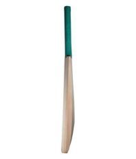 Ally Allygater Kashmir Willow Bat