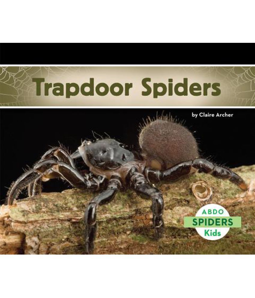 Trapdoor Spiders Buy Trapdoor Spiders Online At Low Price In