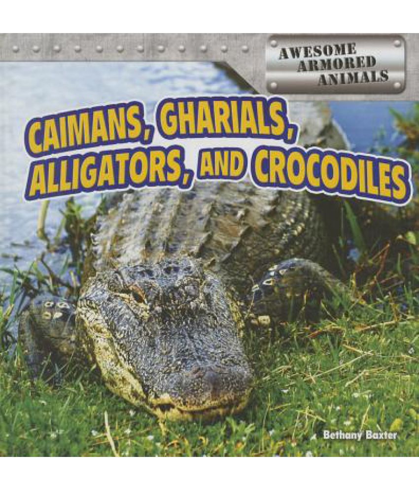 Caimans, Gharials, Alligators, and Crocodiles Buy Caimans, Gharials