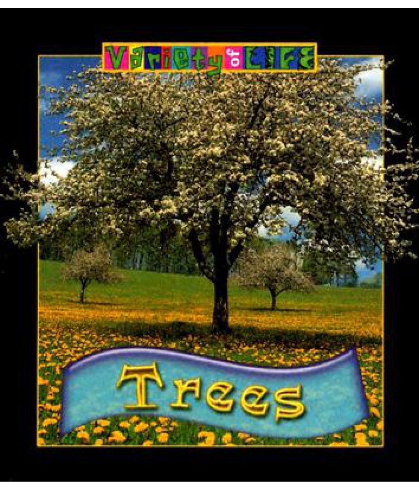 Trees Buy Trees Online at Low Price in India on Snapdeal