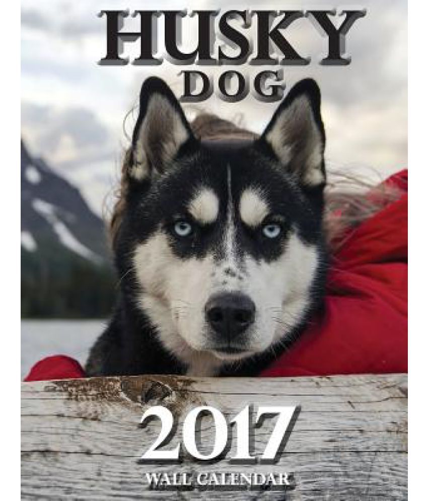 Husky Dog 2017 Wall Calendar Uk Edition Buy Husky Dog 2017 Wall