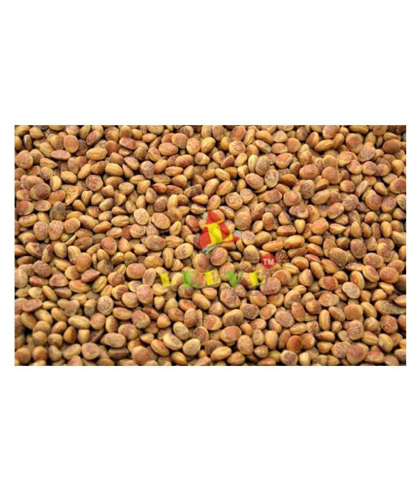 Leeve Dry Fruits Regular Cudpahnut (Chironji) Natural Sweetness 400 gm