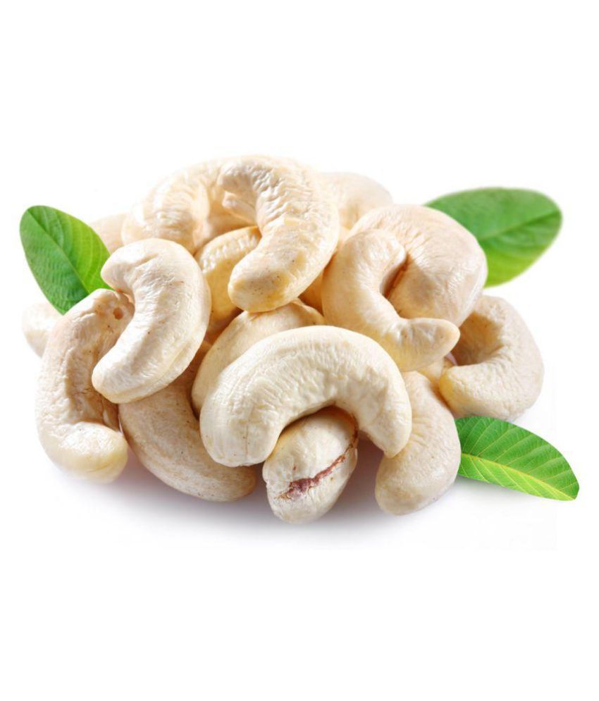 cashew plant maranon
