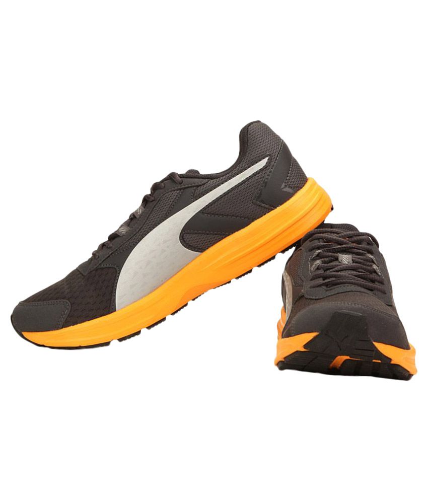 puma aripon 3 dp