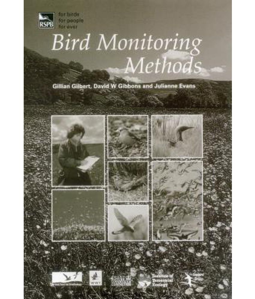 activity monitor bird