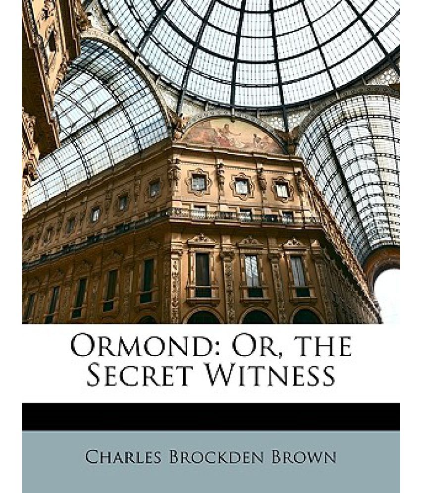 the secret witness book review