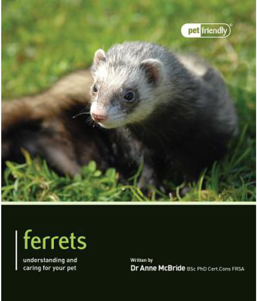 Ferrets: Buy Ferrets Online at Low Price in India on Snapdeal
