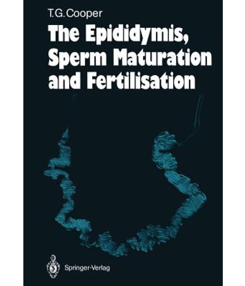 the-epididymis-sperm-maturation-and-fertilisation-buy-the-epididymis