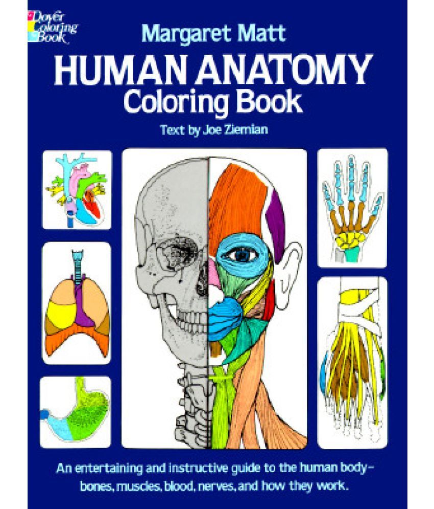 Download Human Anatomy Coloring Book Buy Human Anatomy Coloring Book Online At Low Price In India On Snapdeal