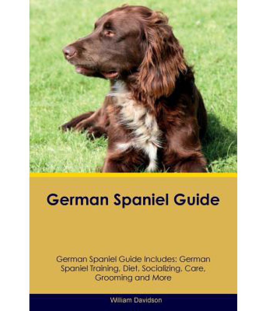 how much does a german spaniel cost