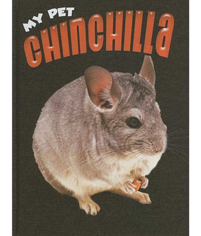 buy chinchilla