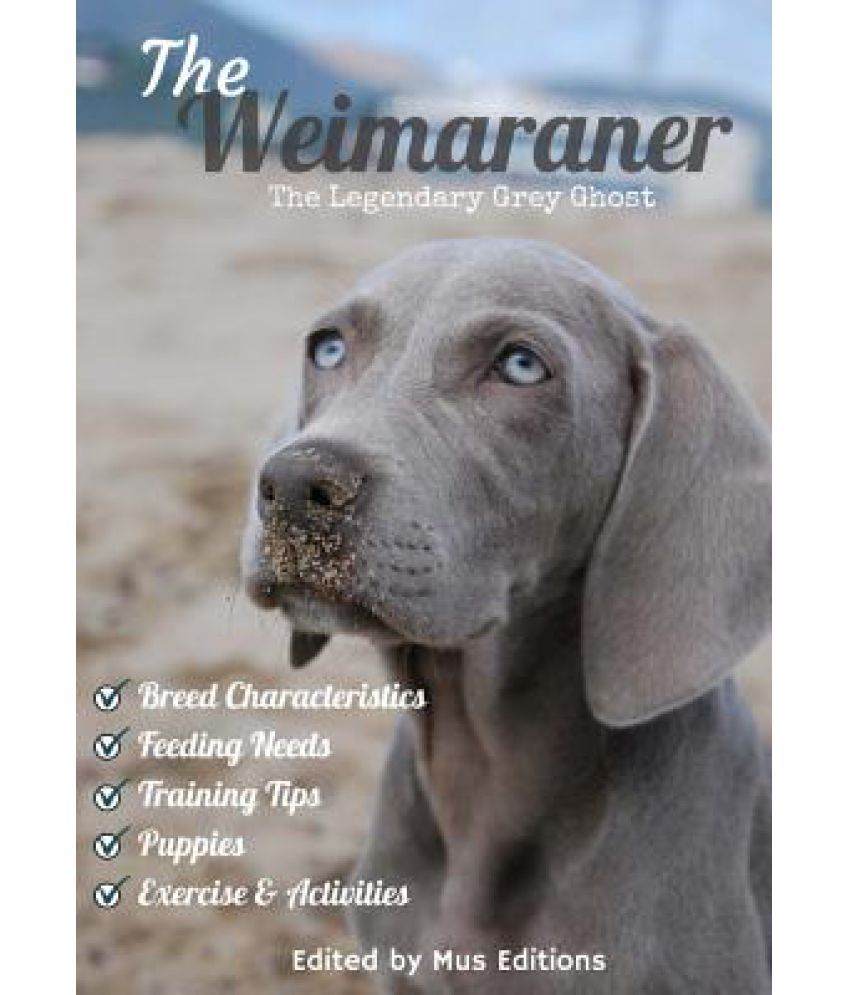 The Weimaraner Online At Low Price In India On The Weimaraner