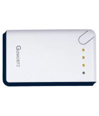 Gizmobitz PB12000D 12000 mAh Li-Ion Power Bank