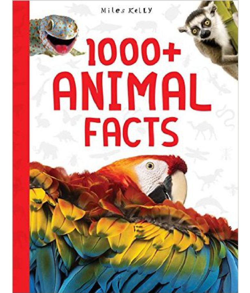 1000+ Animal Facts: Buy 1000+ Animal Facts Online at Low Price in India ...