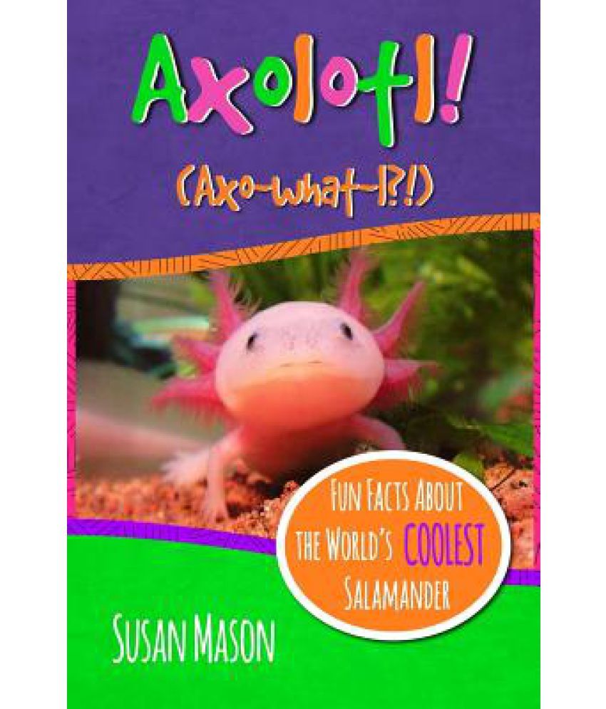 Axolotl Buy Axolotl Online At Low Price In India On Snapdeal