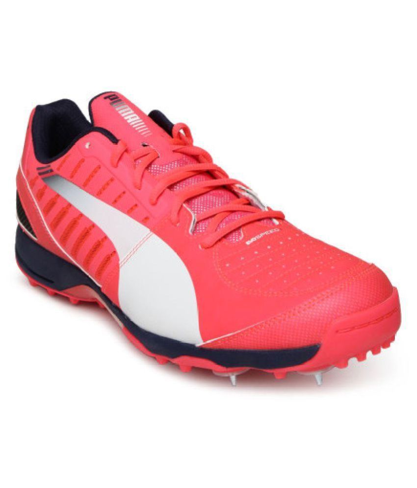 Puma evoSPEED Spike 1.3 Pink Cricket Shoes - Buy Puma evoSPEED Spike 1. ...