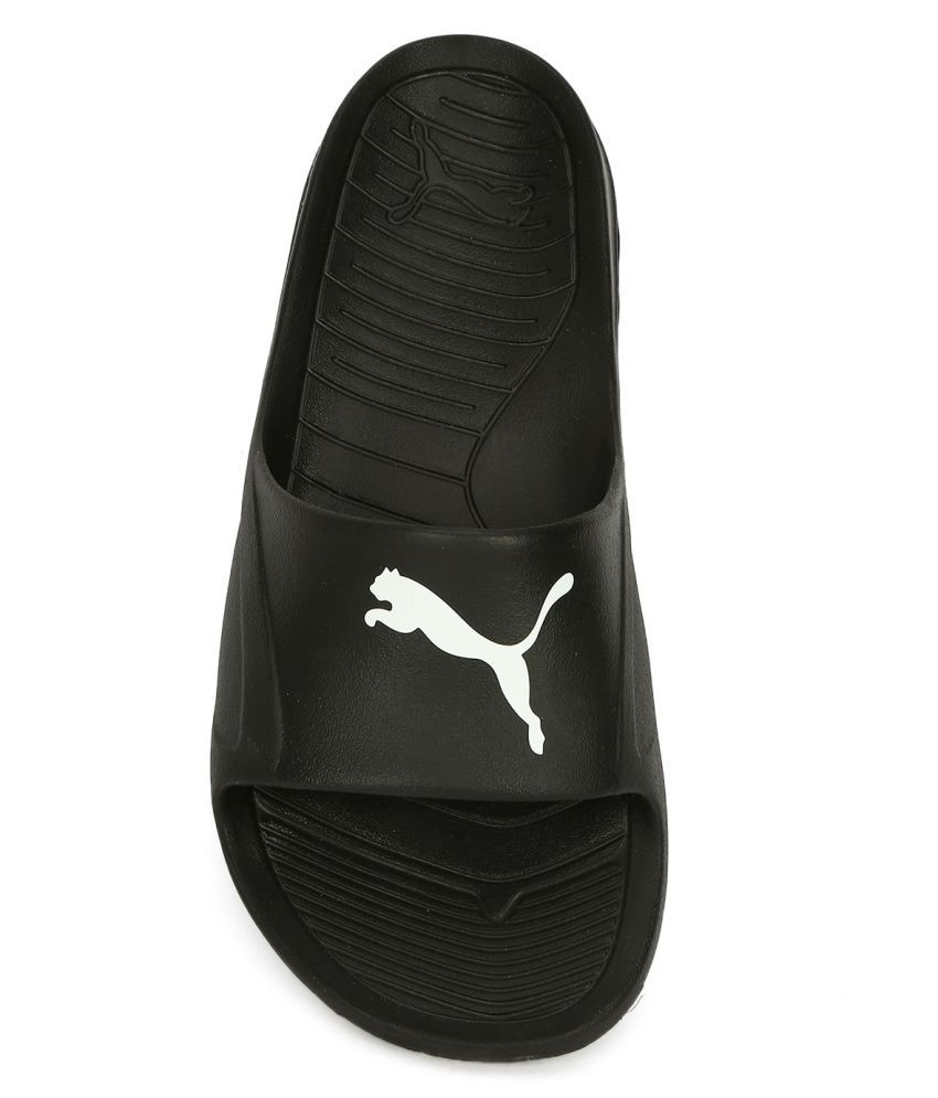 puma divecat