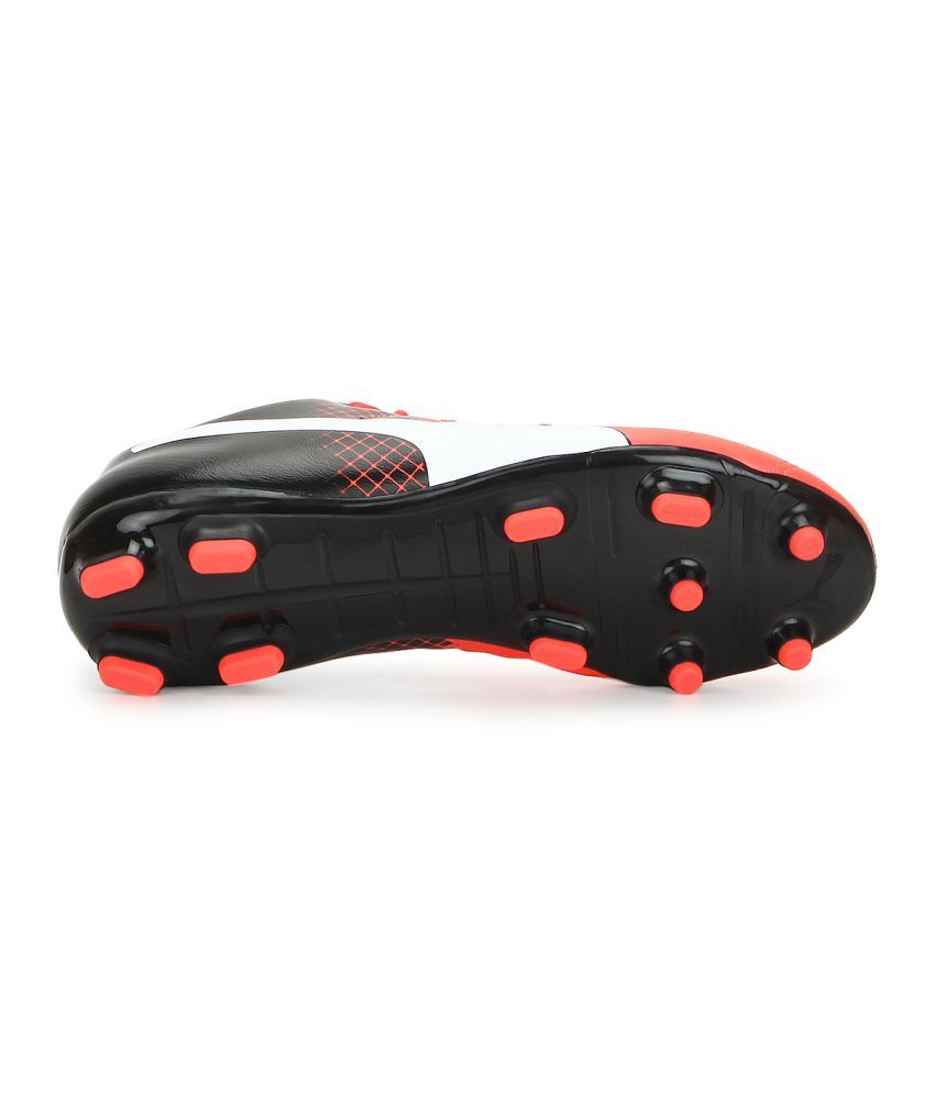 evopower 4.3