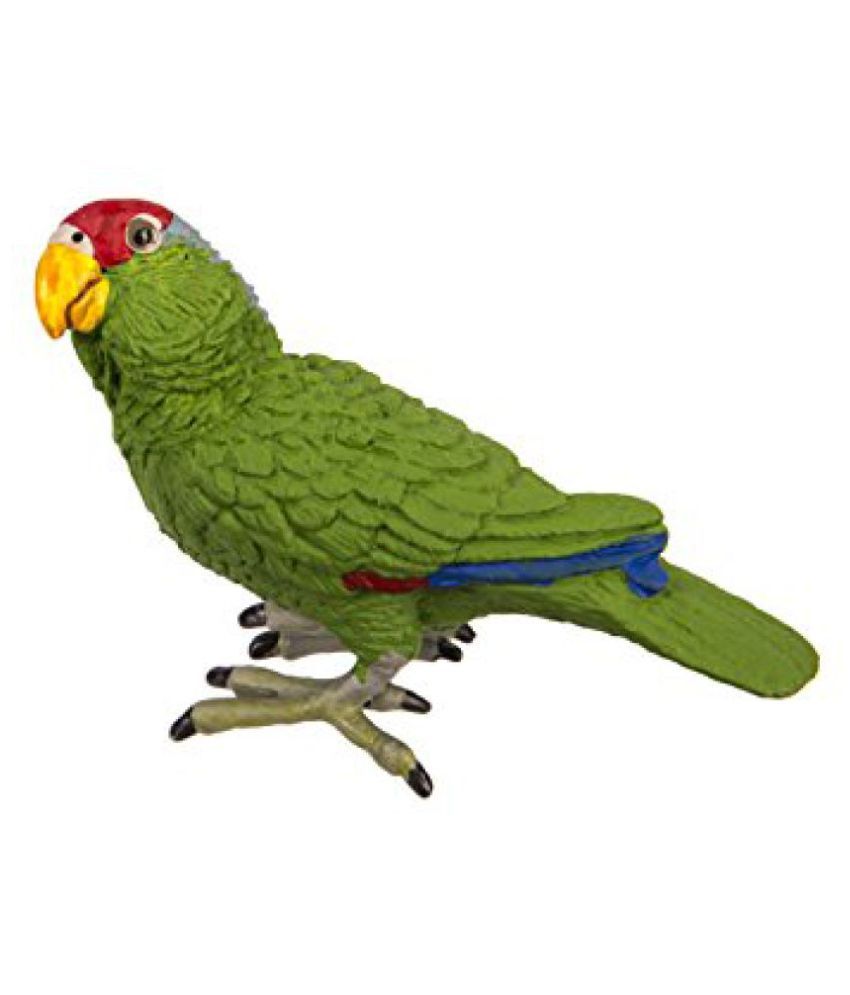 green cheeked amazon parrot for sale