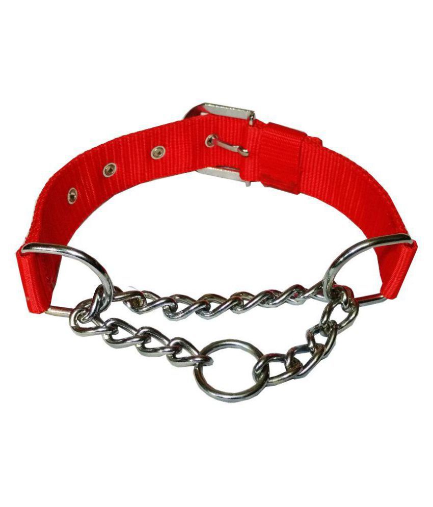 Petshop7 Red Choke Collar / Training 1.25in Large Dog Collar: Buy ...
