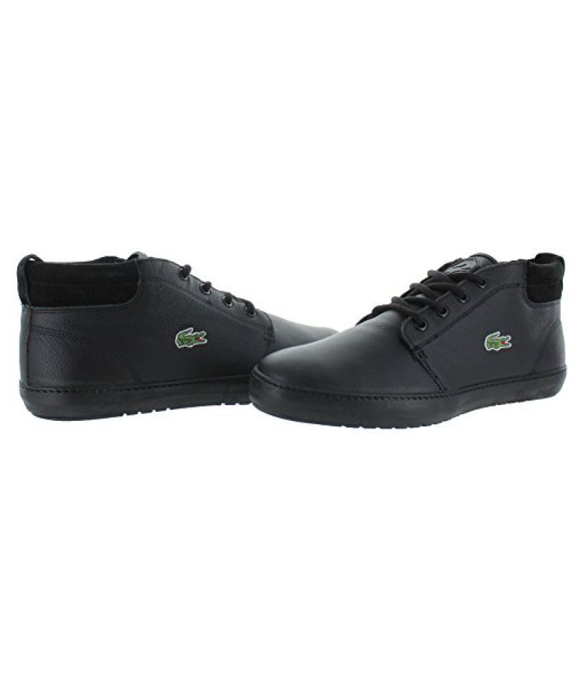 lacoste ampthill terra put